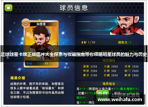 足球球星卡牌正版图片大全探索与收藏指南带你领略明星球员的魅力与历史