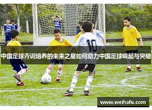 中国足球青训培养的未来之星如何助力中国足球崛起与突破